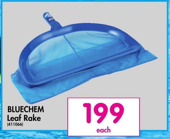 BLUECHEM Leaf Rake offer at Makro