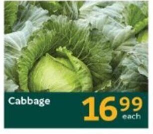 Oxford Freshmarket Cabbage offer