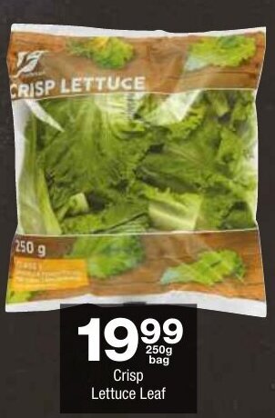 Crisp Lettuce Leaf