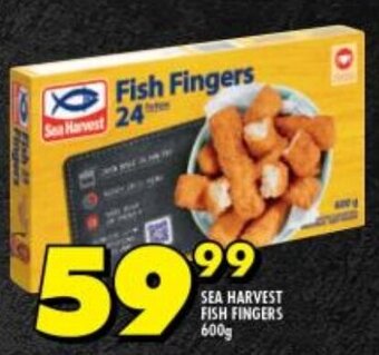 Shoprite SEA HARVEST FISH FINGERS 600g offer