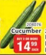 Cucumber