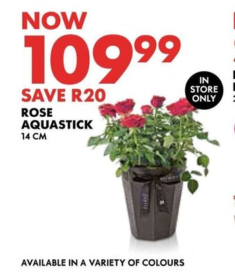 Woolworths ROSE AQUASTICK 14 CM offer