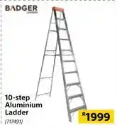 Builders Warehouse Badger 10 step aluminium ladder offer