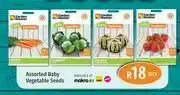 Builders Warehouse Garden Master Assorted Baby Vegetable Seeds-Each offer