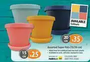 Builders Warehouse Garden Master Assorted Super Pots (15/20cm) offer