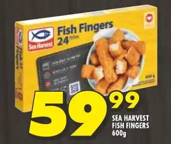 Shoprite SEA HARVEST FISH FINGERS 600g offer