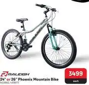 Raleigh 24 or 26 phoenix mountain bike-each