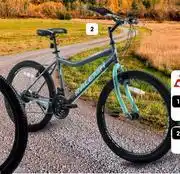 Makro Raleigh 24 or 26 rapid mountain bike-each offer