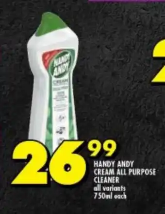 Shoprite HANDY ANDY CREAM ALL PURPOSE CLEANER all variants 750ml each offer