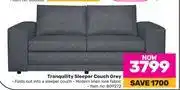Game Tranquility sleeper couch (grey) offer