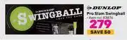 Game Dunlop pro slam swingball offer