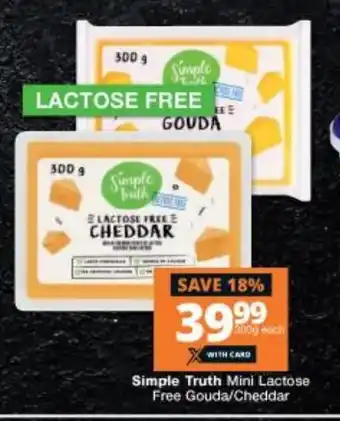 Checkers Simple Truth Mini Lactose Free Gouda/Cheddar 300g offer