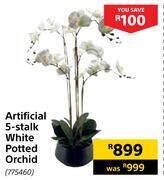 Builders Warehouse Artificial 5 stalk white potted orchid offer