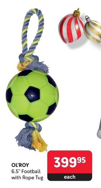 Makro OL'ROY 6.5" Football with Rope Tug offer