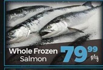 Whole Frozen Salmon