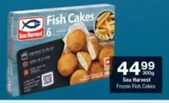 Sea Harvest Frozen Fish Cakes