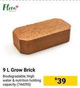 Builders Warehouse Flora 9ltr grow brick offer