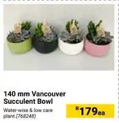 140mm vancouver succulent bowl 768248-each