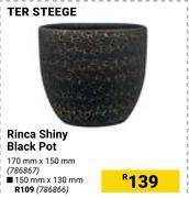 Builders Warehouse Ter steege rinca shiny black pot 786867-170mm x 150mm offer