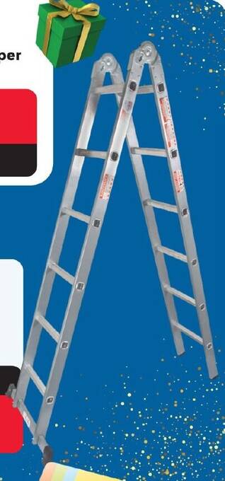 Makro TRADEQUIP Dual Ladder offer