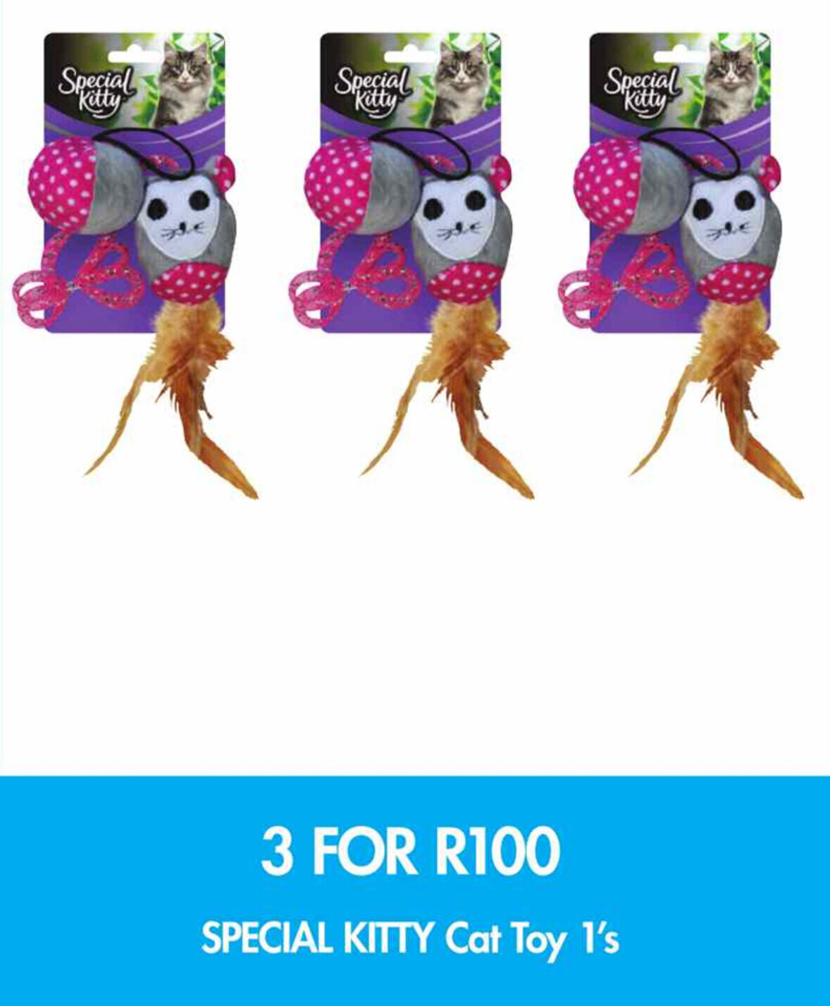 Special Kitty Cat Toy 1's offer at Makro’s liquor