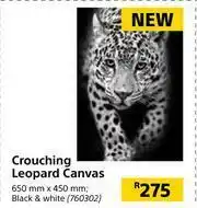 Builders Warehouse Crouching Leopard Canvas 650mm x 450mm offer