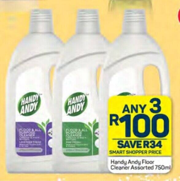 Handy Andy Floor Cleaner Assorted 750ml offer at Pick n Pay