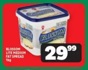 BLOSSOM LITE MEDIUM FAT SPREAD 1kg
