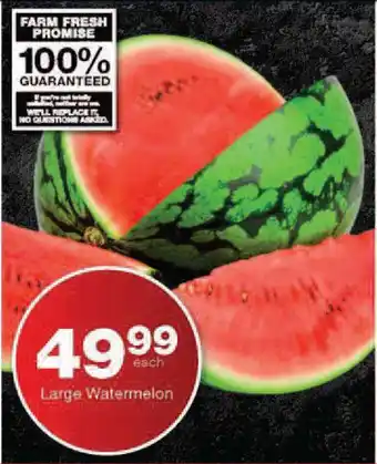 Checkers Large Watermelon offer