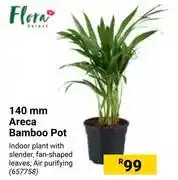 Builders Warehouse Flora 140mm areca bamboo pot offer