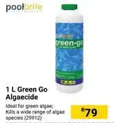 Builders Warehouse Pool brite green go algaecide offer