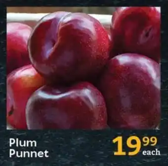 Plum Punnet