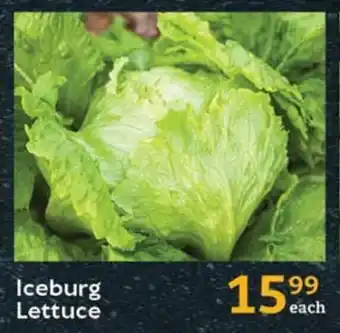 Iceburg Lettuce