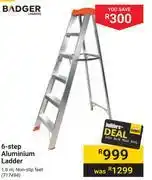 Badger 6-step aluminium ladder 717494