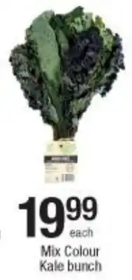 Mix Colour Kale bunch