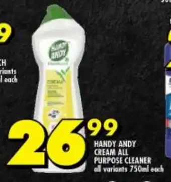 Shoprite HANDY ANDY CREAM ALL PURPOSE CLEANER all variants 750ml each offer