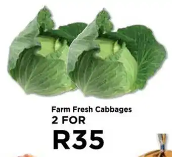 Farm Fresh Cabbages