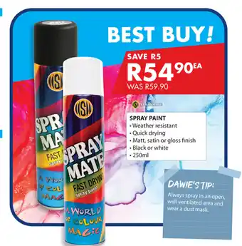 Chamberlain Spray Paint 250ml offer