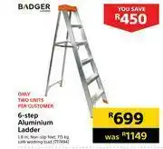 Badger 6 Step Aluminium Ladder