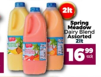 Spring Meadow Dairy Blend Assorted 2lt