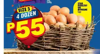 Star Poultry or Nowane Eggs 4 Dozen