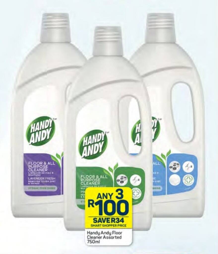 Handy Andy Floor Cleaner Assorted 750ml offer at Pick n Pay Hypermarket