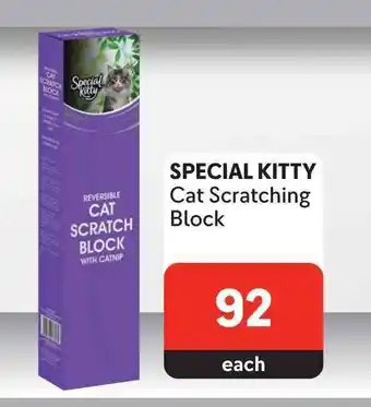 SPECIAL KITTY Cat Scratching Block