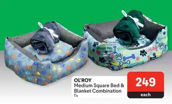 Makro OL'ROY Medium Square Bed & Blanket Combination offer
