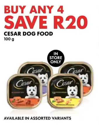 CESAR DOG FOOD 100g offer at Woolworths