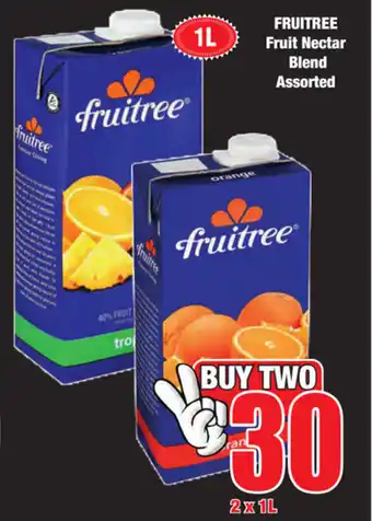 Boxer Superstores Fruitree Fruit Nectar Blend Assorted 2x1L offer