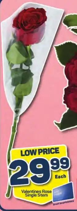 Pick n Pay Valentines Rose Single Stem offer