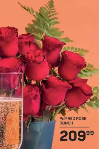 Pick n Pay PnP RED ROSE BUNCH offer