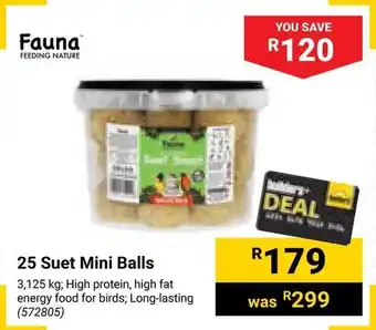 Builders Warehouse Fauna 25 Suet Mini Balls offer
