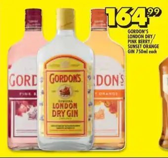 Shoprite GORDON'S LONDON DRY/ PINK BERRY/ SUNSET ORANGE GIN 750ml each offer